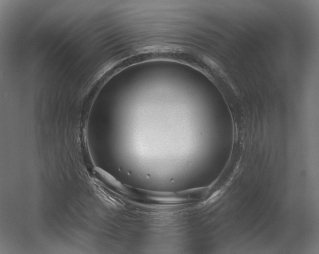 X0000060581017200511031330