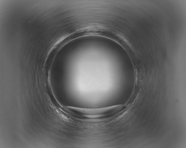 X0000060581018200511031330