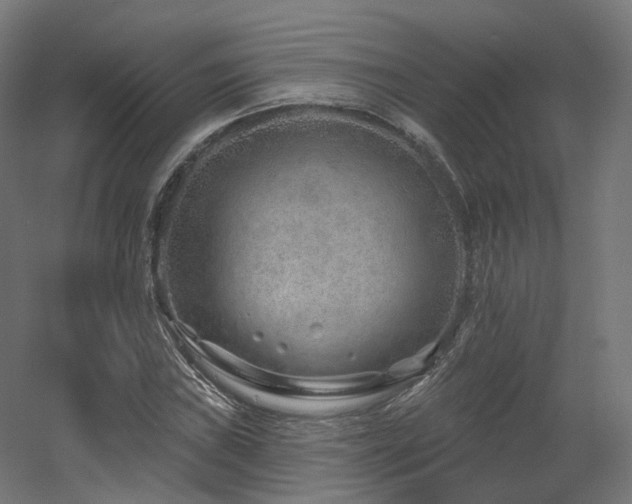 X0000060581019200511031330