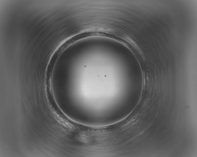 X0000060581020200511031330