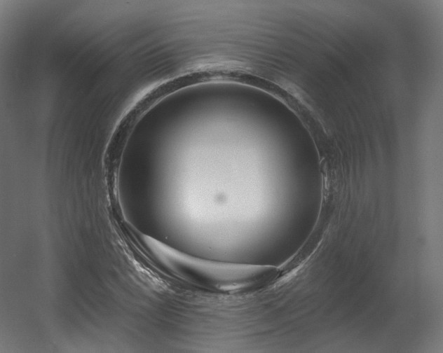 X0000060581022200511031330