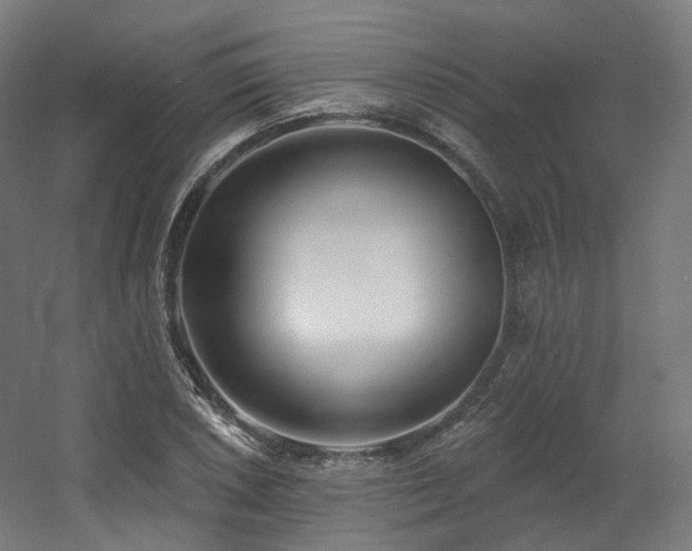X0000060581026200511031330