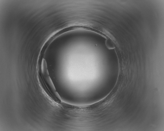 X0000060581028200511031330