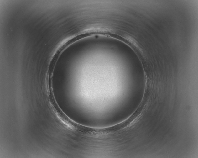 X0000060581030200511031330