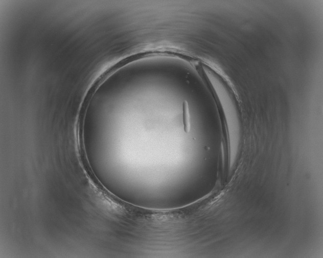 X0000060581032200511031330