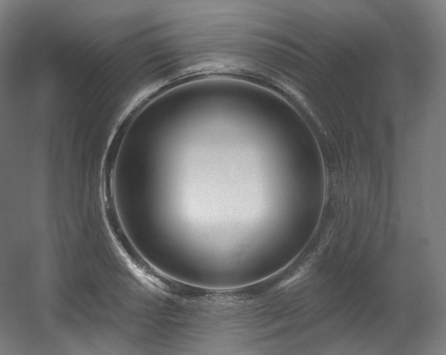 X0000060581034200511031330