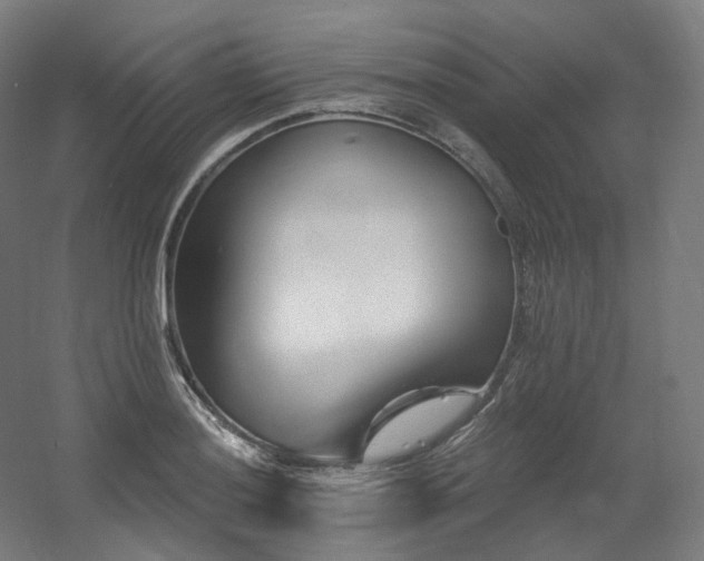 X0000060581036200511031331