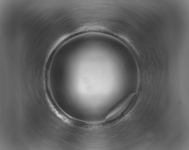 X0000060581038200511031331