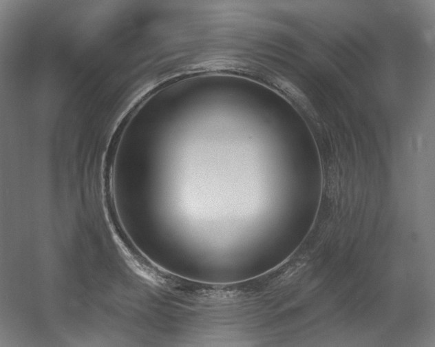 X0000060581039200511031331