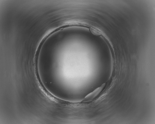 X0000060581045200511031331
