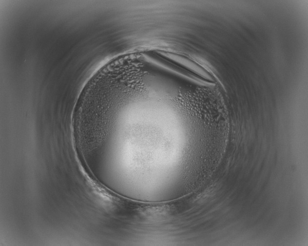 X0000060581047200511031331