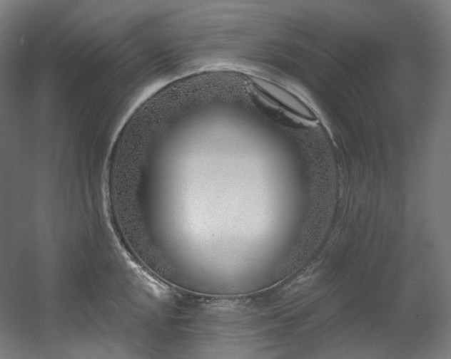 X0000060581048200511031331