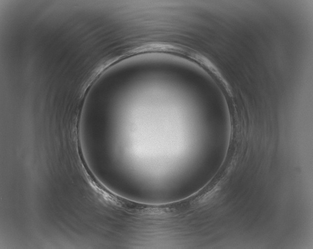 X0000060581049200511031331