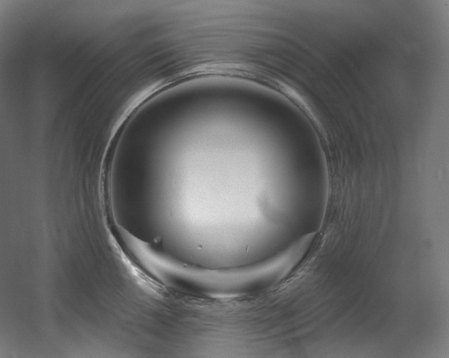 X0000060581050200511031331