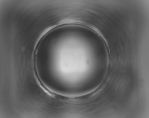 X0000060581053200511031331