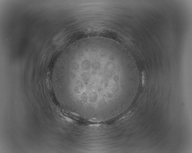 X0000060581059200511031330
