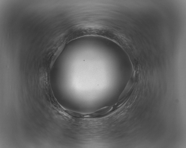 X0000060581061200511031330