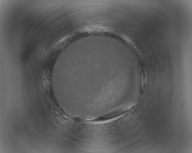 X0000060581063200511031330