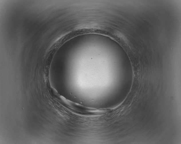 X0000060581064200511031330
