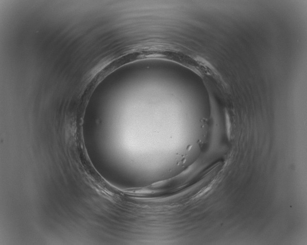 X0000060581065200511031330
