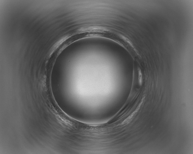 X0000060581066200511031330