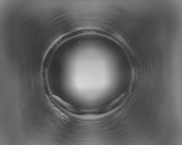 X0000060581068200511031330