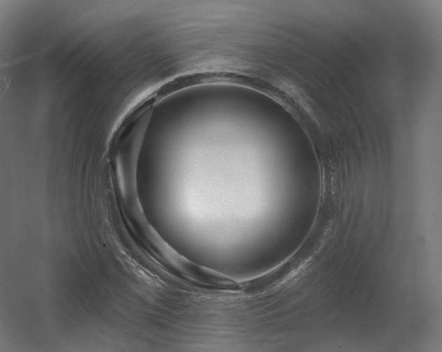 X0000060581069200511031330