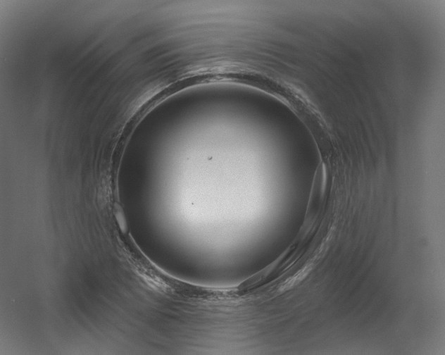 X0000060581073200511031330