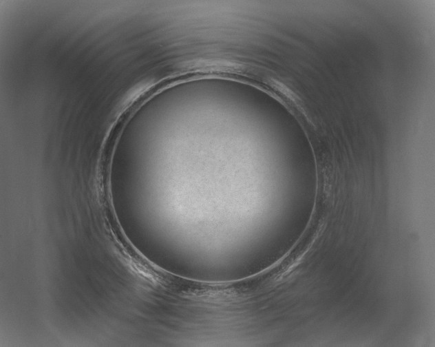 X0000060581074200511031330