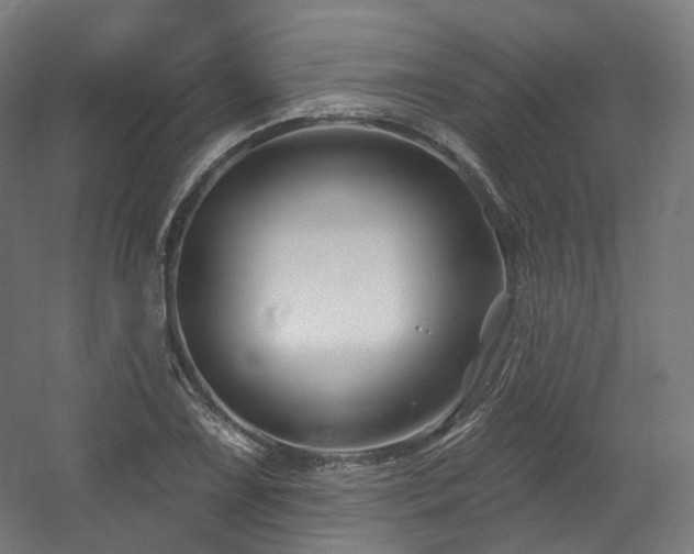 X0000060581075200511031330