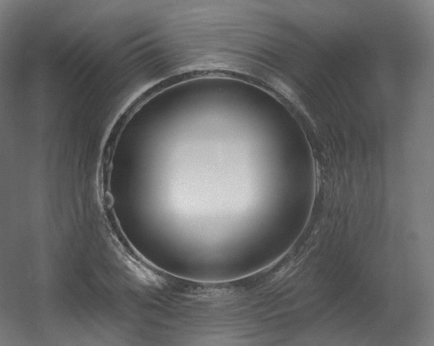 X0000060581076200511031330