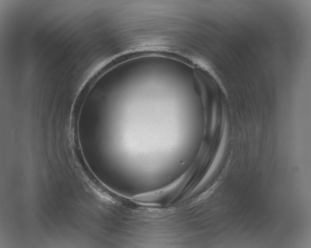X0000060581077200511031330