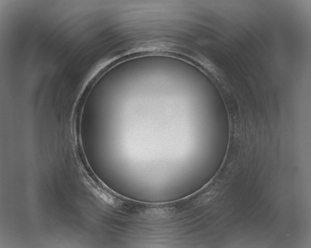 X0000060581078200511031330