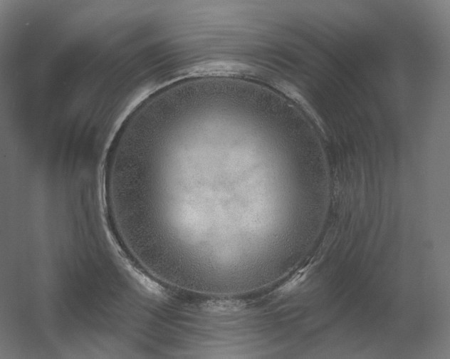 X0000060581083200511031330