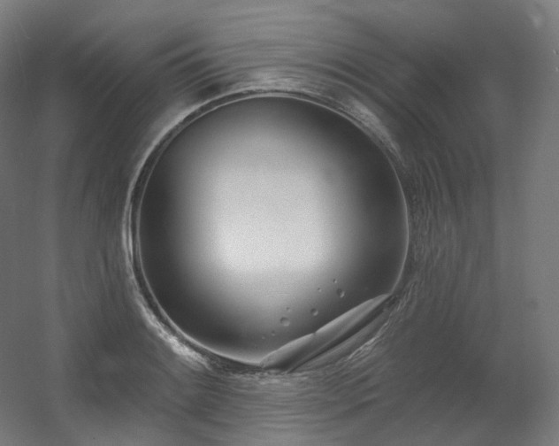 X0000060581084200511031330