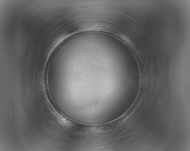 X0000060581086200511031330