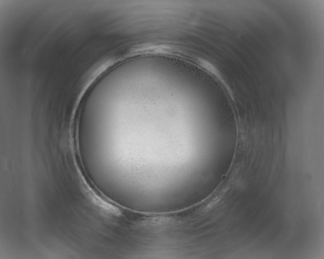 X0000060581090200511031329