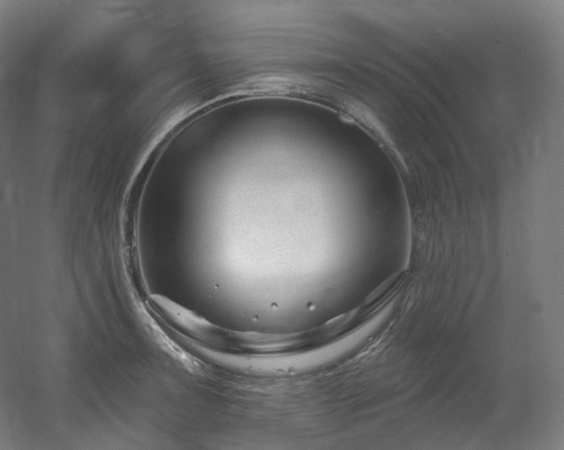 X0000060581091200511031329