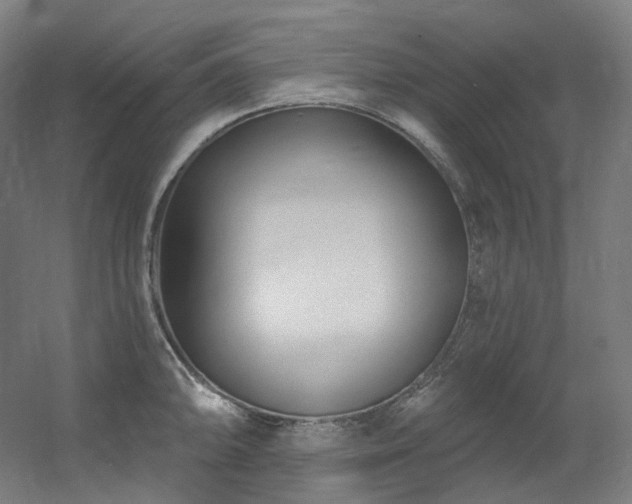 X0000060581094200511031329
