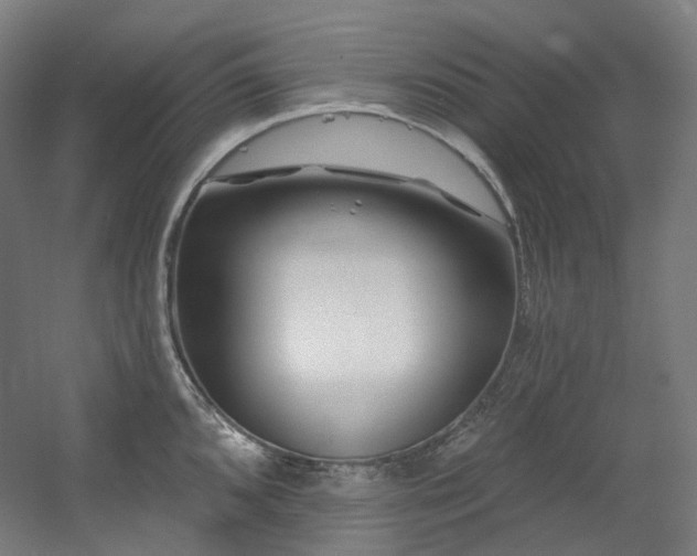 X0000060581096200511031329