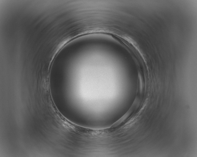 X0000060581097200511031329