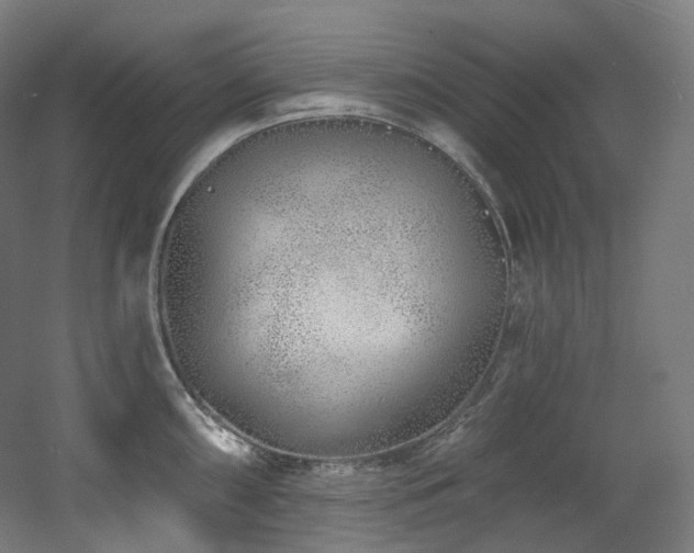 X0000060581098200511031329