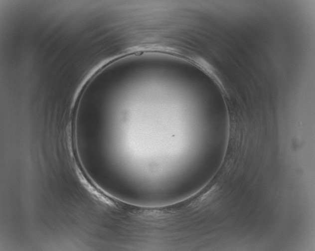 X0000060581100200511031329