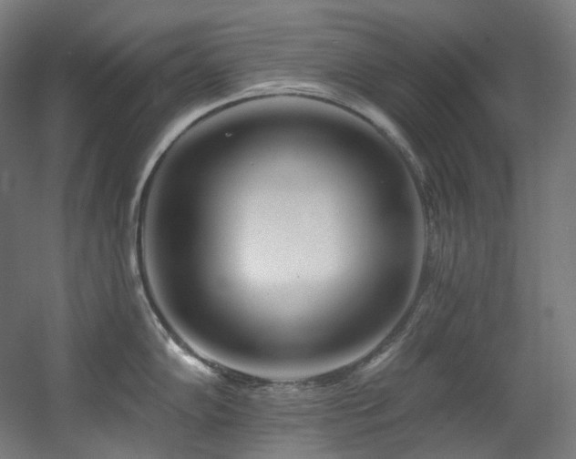X0000060581102200511031329