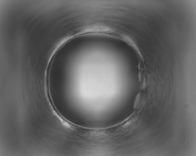 X0000060581103200511031329