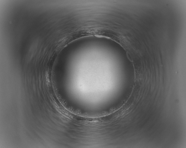 X0000060581106200511031328