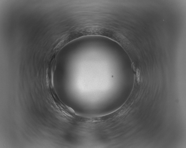 X0000060581107200511031328