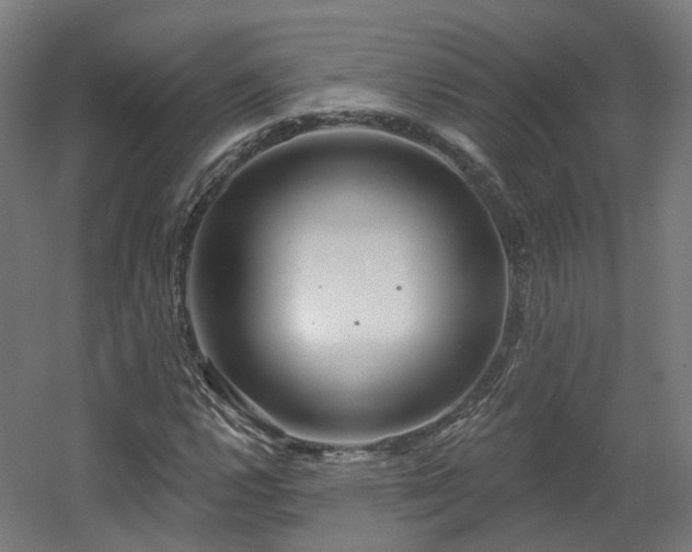 X0000060581112200511031329