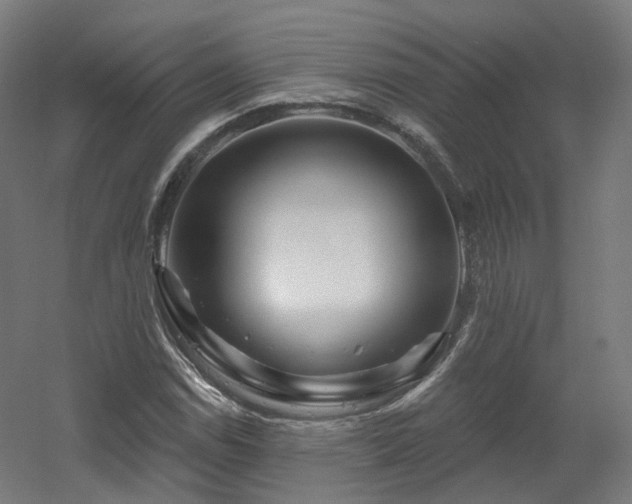 X0000060581114200511031329