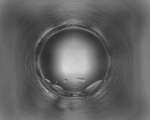 X0000060581115200511031329